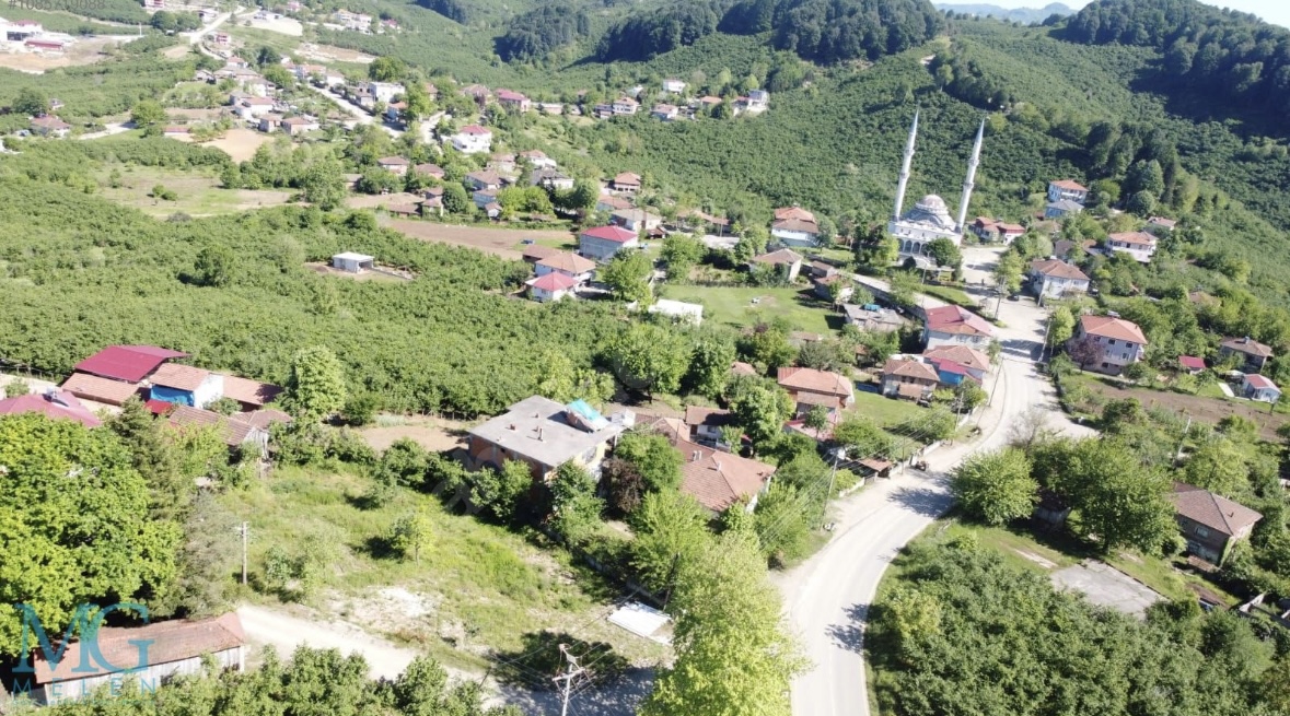KÖY İÇİNDE EV YAPILABİLİR SATILIK MEYVE VE FINDIK BAHÇESİ