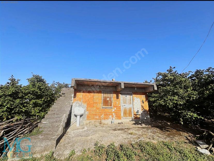 SAKARYA KOCAALİ DE SATILIK DENİZ MANZARALI FINDIK BAHÇESİ
