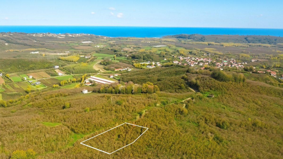 KOCAALİDE 1955 M2 SATILIK DENİZ MANZARALI FINDIK BAHÇESİ
