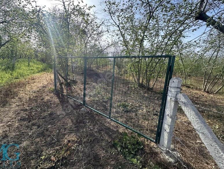 KOCAALİ MERKEZE YAKIN SATILIK FINDIK BAHÇESİ
