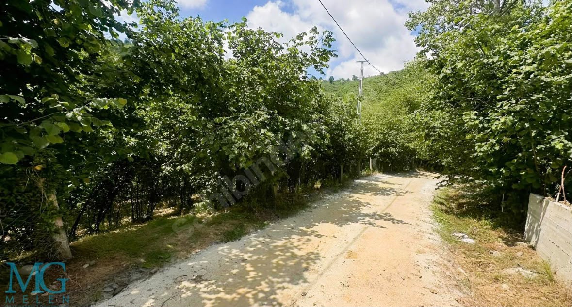 KÖY YERLEŞİK ALANI İÇERİSİNDE KONUT YAPILABİLEN FINDIK BAHÇESİ
